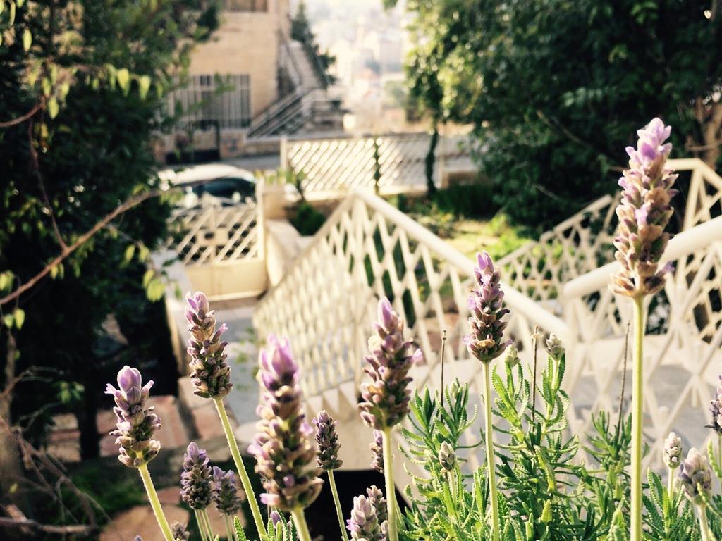 Lavender Boutique Hotel ラマッラ エクステリア 写真